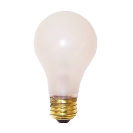 Light Bulb, Rough Duty, 100 Watt